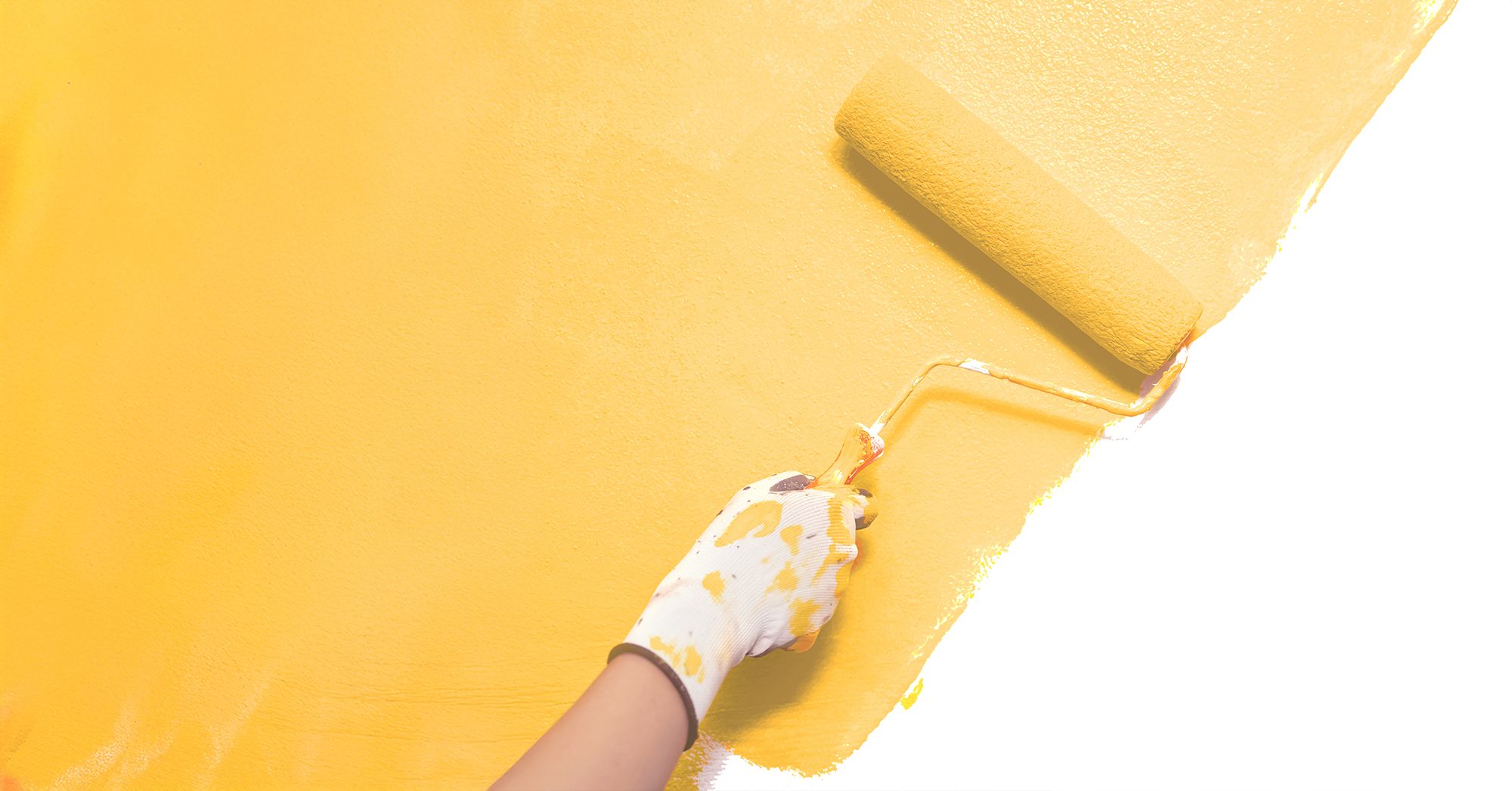 Eine behandschuhte Hand streicht mit einer Farbrolle gelbe Farbe auf eine weiße Wand